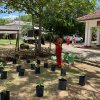 Home Gardening at Vavuniya District Secretariat-25.08.2022